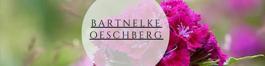 Bartnelke pflegen & pflanzen