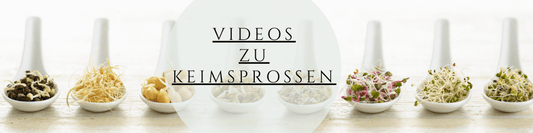 Keimsprossen ernten und Pflegen Videos