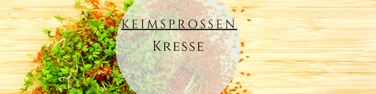 Kresse selber ziehen