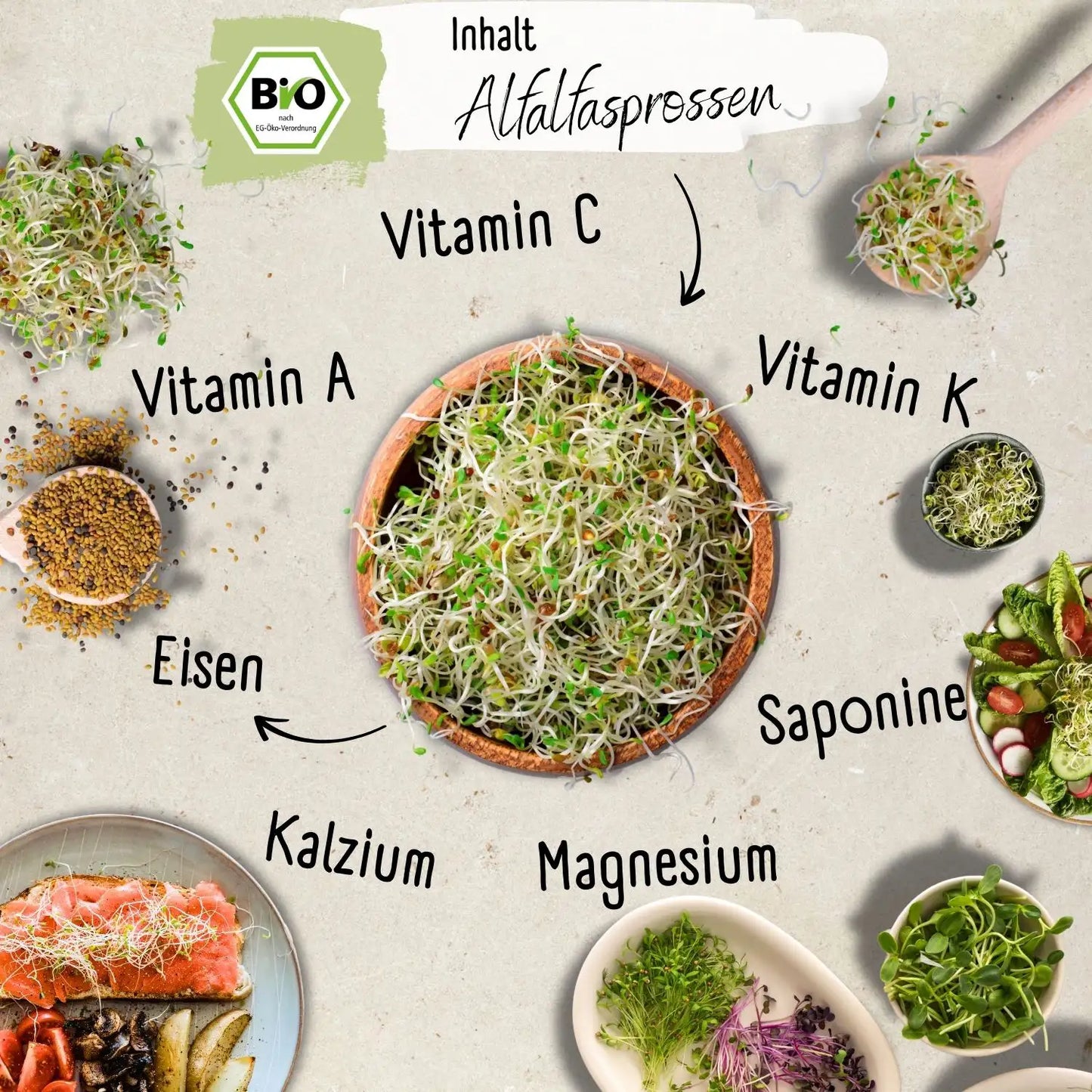 Bio Alfalfa Sprossen Samen 200g