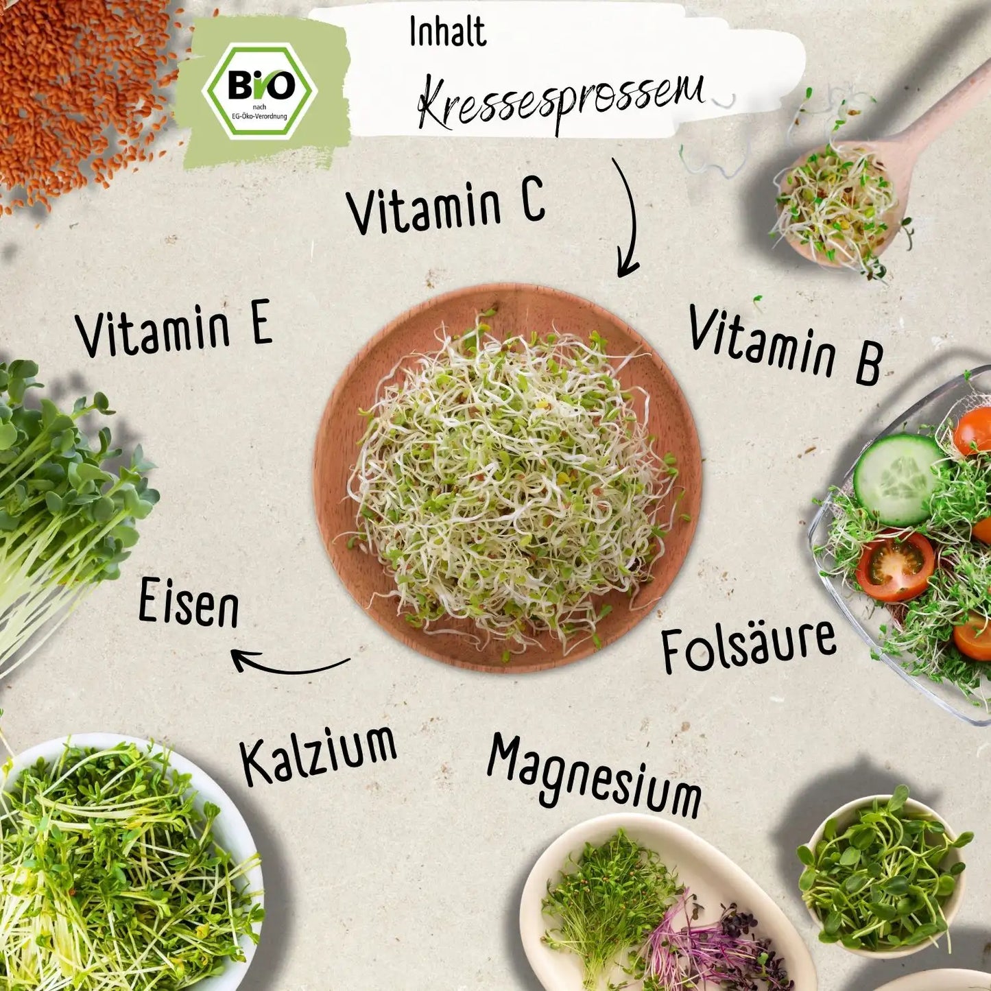 Bio Kresse Sprossen Samen 200g