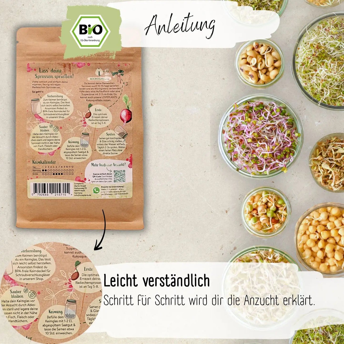 Bio Radies Sprossen Samen 200g