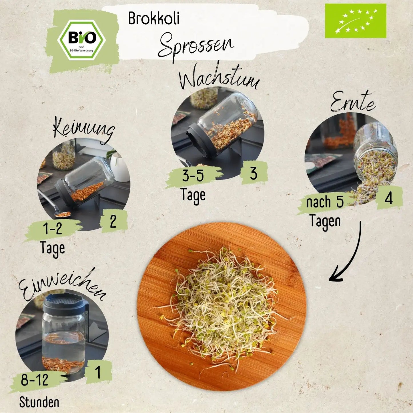 Bio Brokkolisprossen Samen 200g