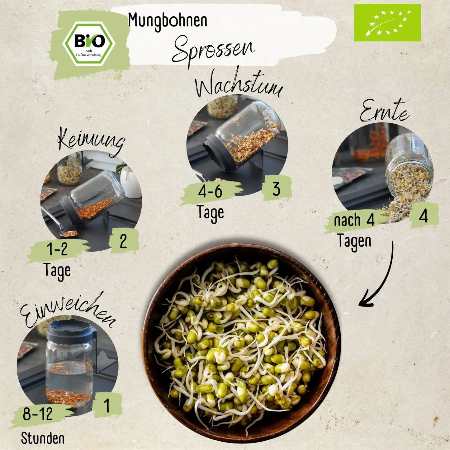 Bio Mungbohnesprossen Samen 200g