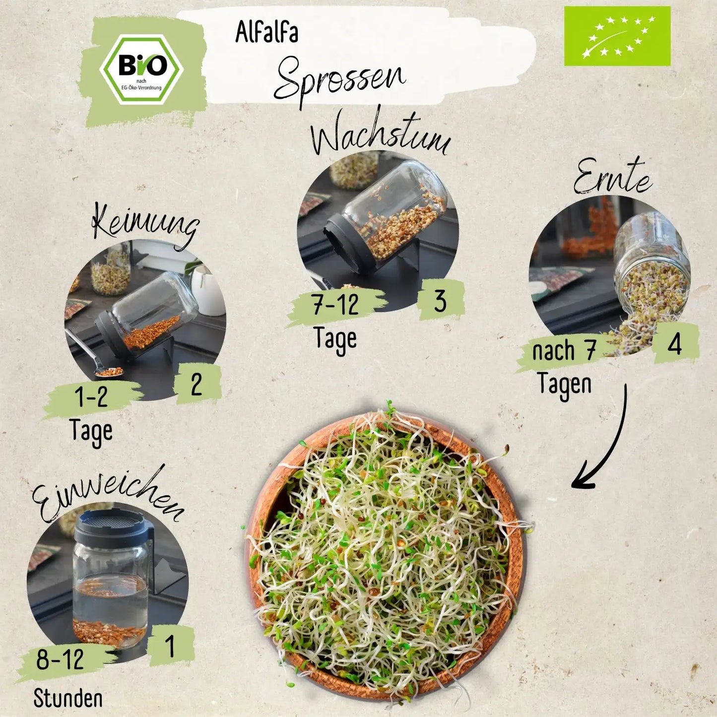 Bio Alfalfa Sprossen Samen 200g