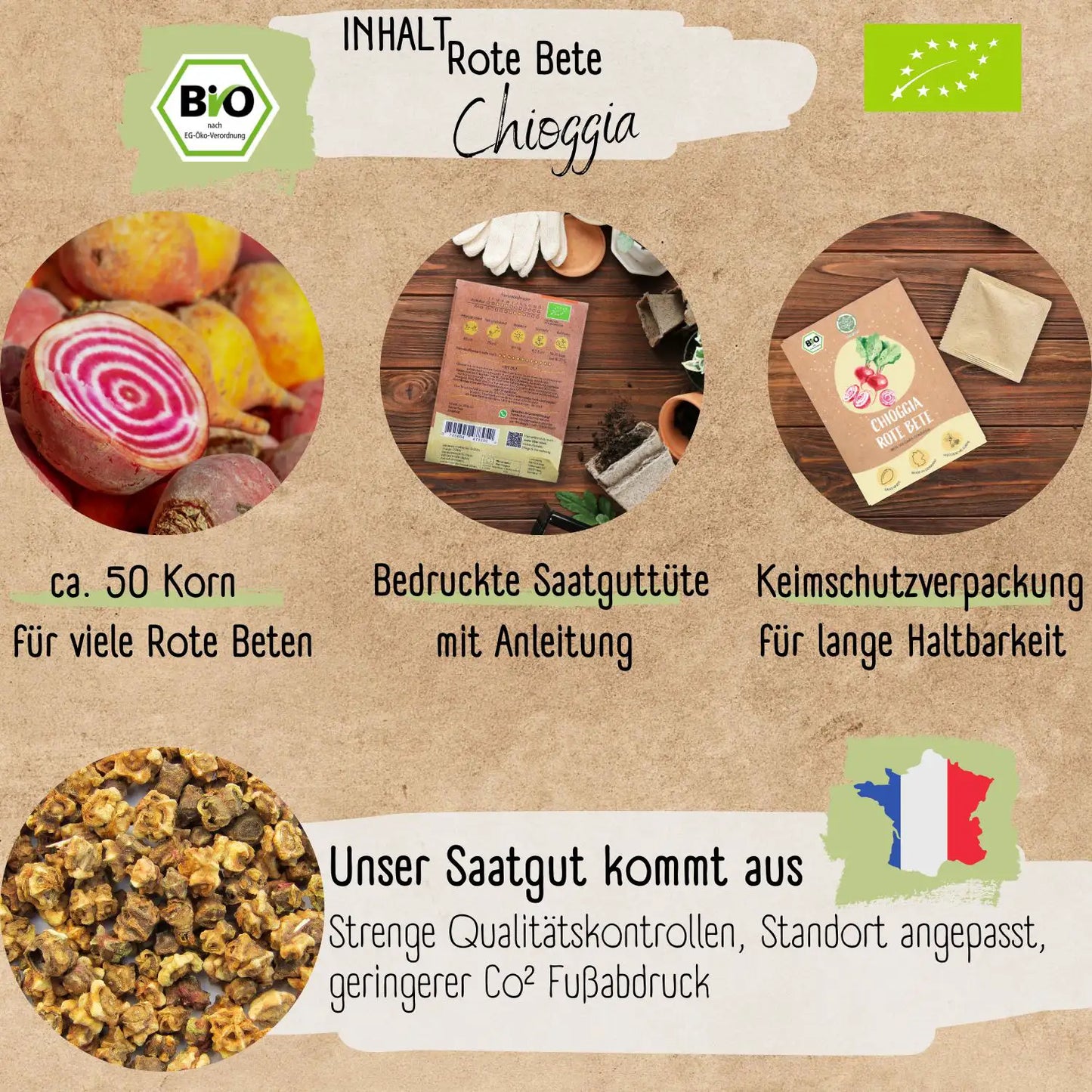 Bio Rote Bete Chioggia Samen