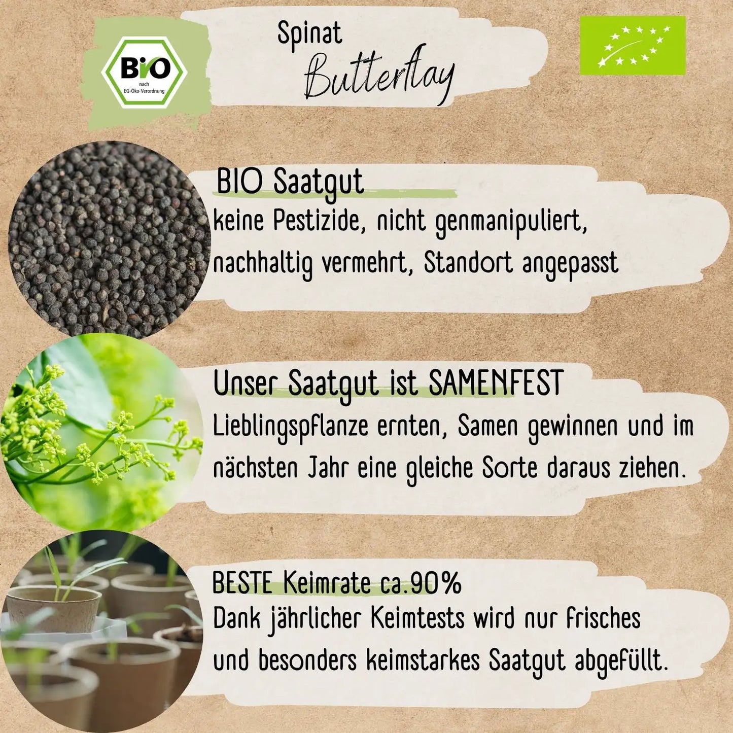 Bio Spinat Samen