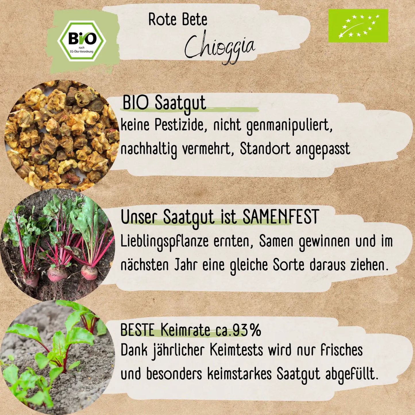 Bio Rote Bete Chioggia Samen