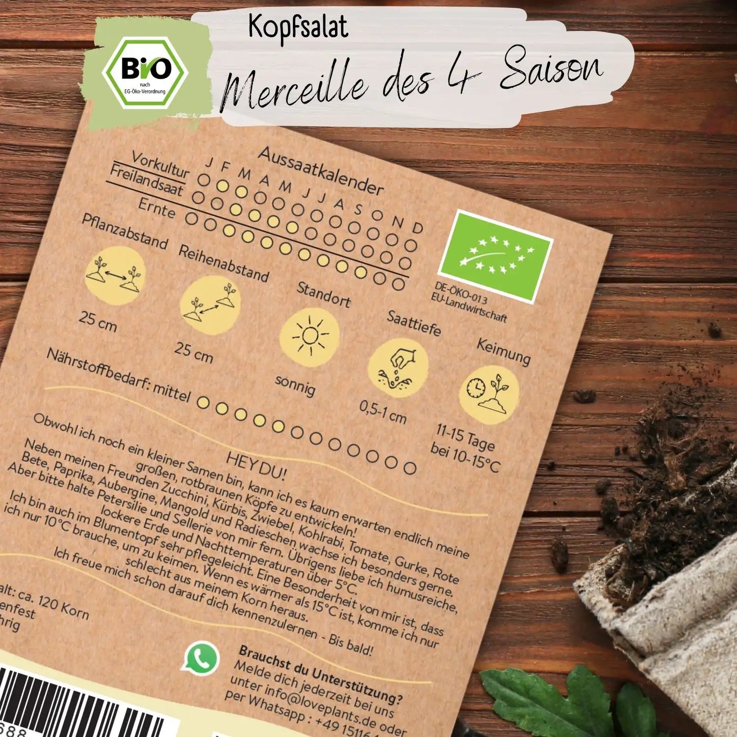 Bio Kopfsalat des 4 Saisons Samen