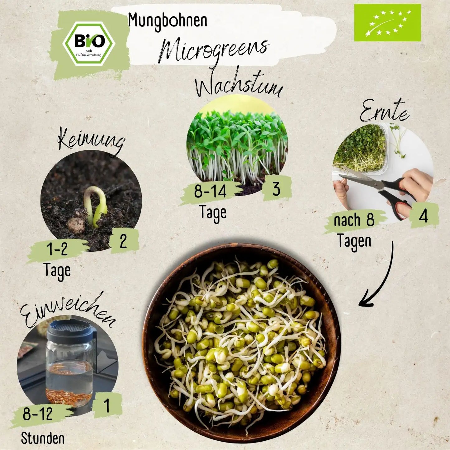Bio Mungbohnesprossen Samen 200g