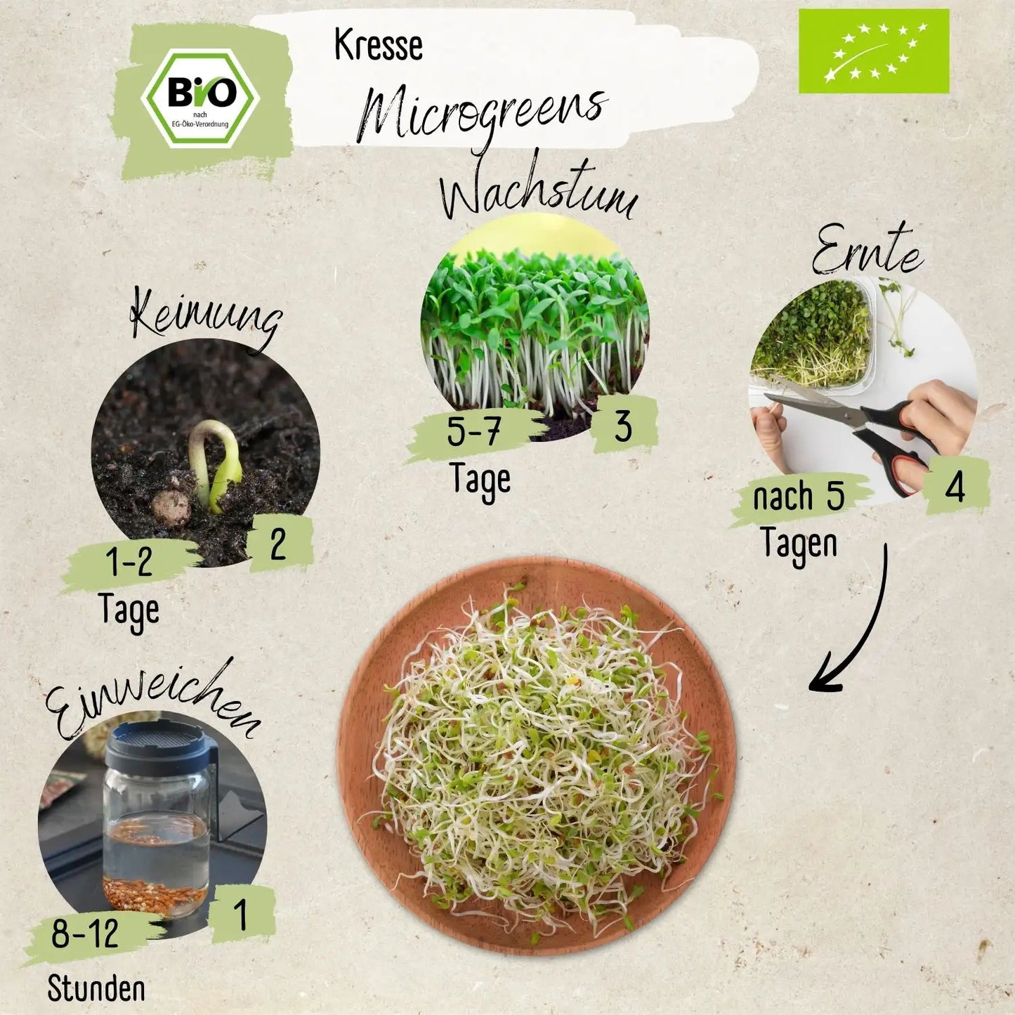 Bio Kresse Sprossen Samen 200g