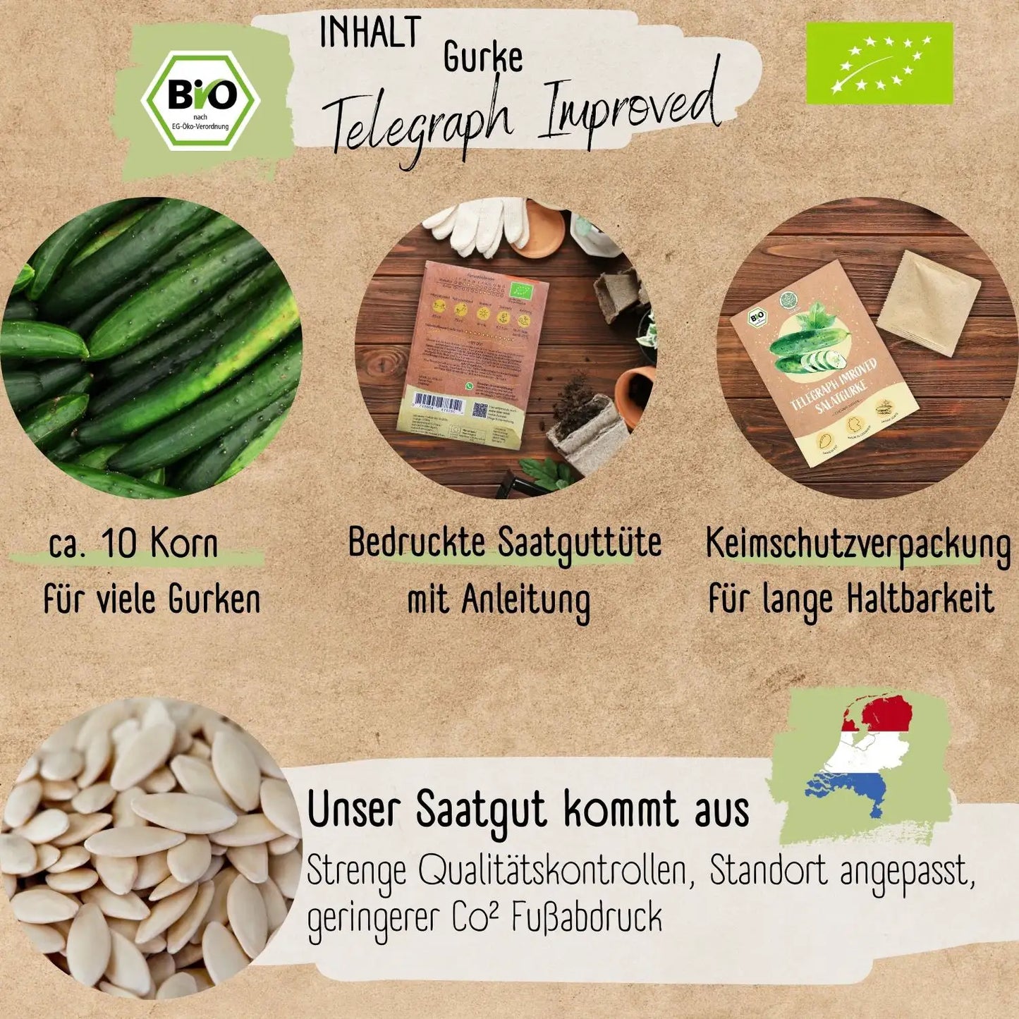 Bio Salatgurke Telegraph Improved Samen