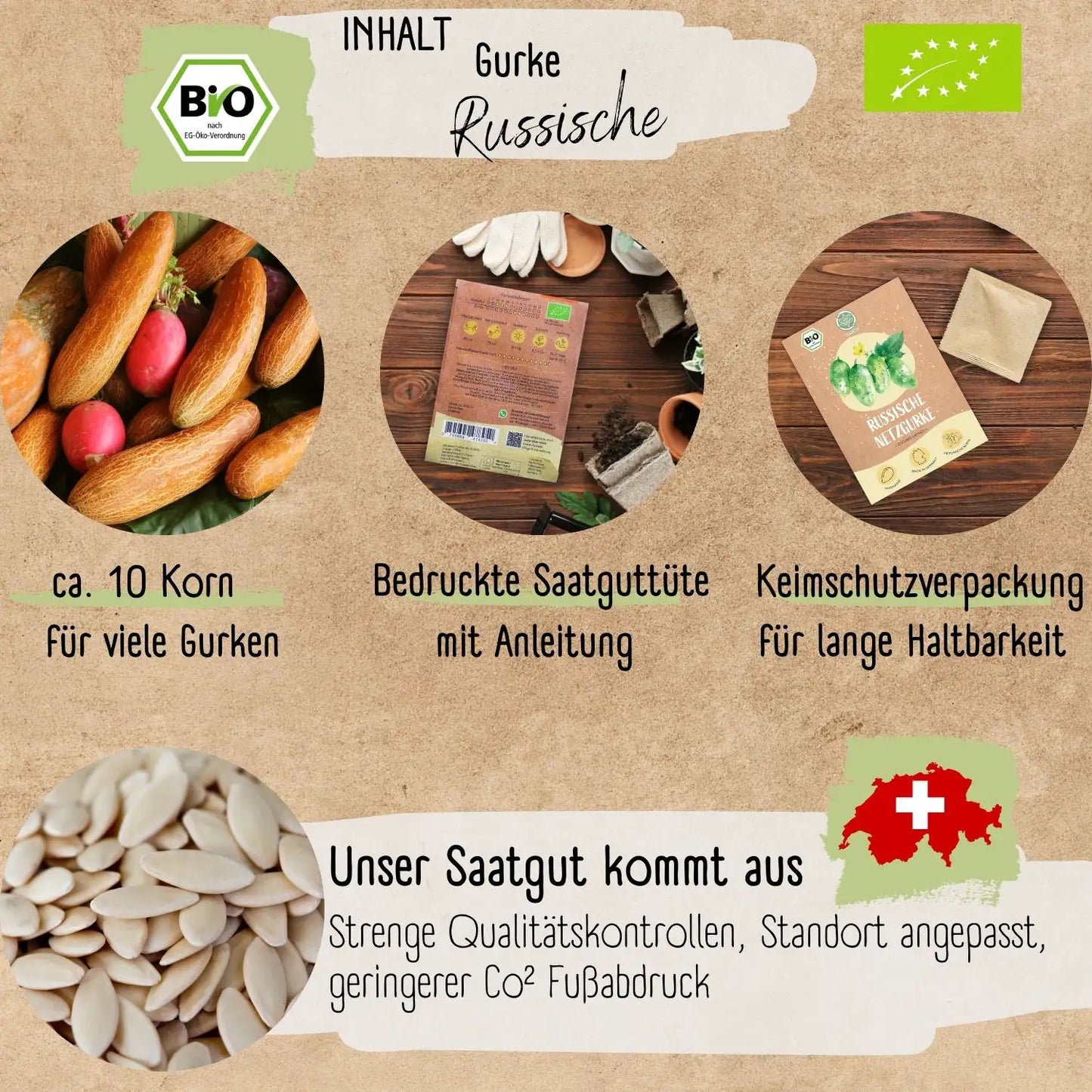 Bio Russische Gurke Samen