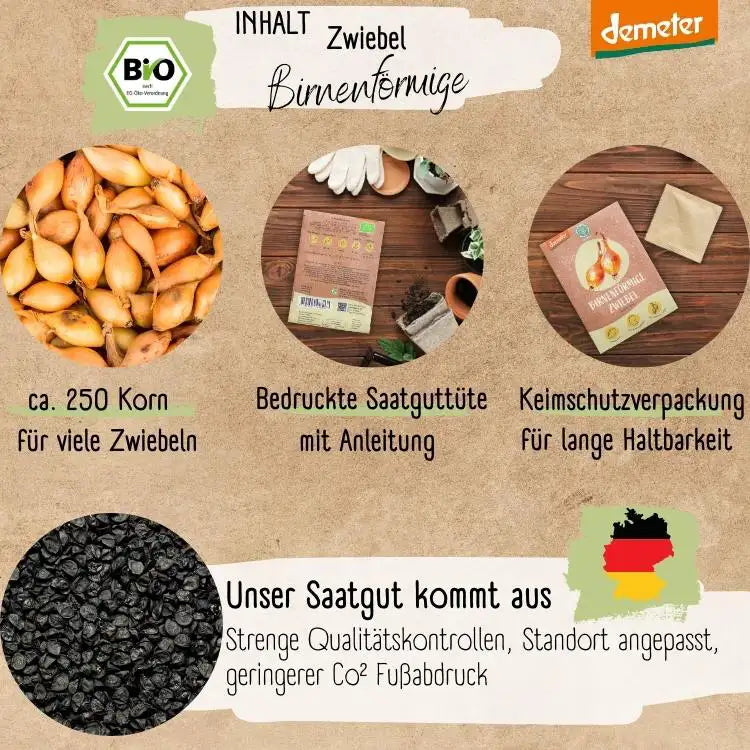 Demeter Zwiebel Birnenförmige Samen