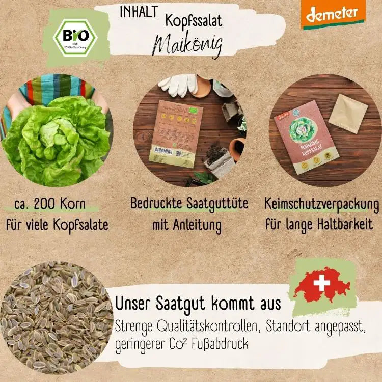 Demeter Kopfsalat Maikönig Samen