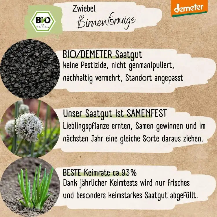 Demeter Zwiebel Birnenförmige Samen