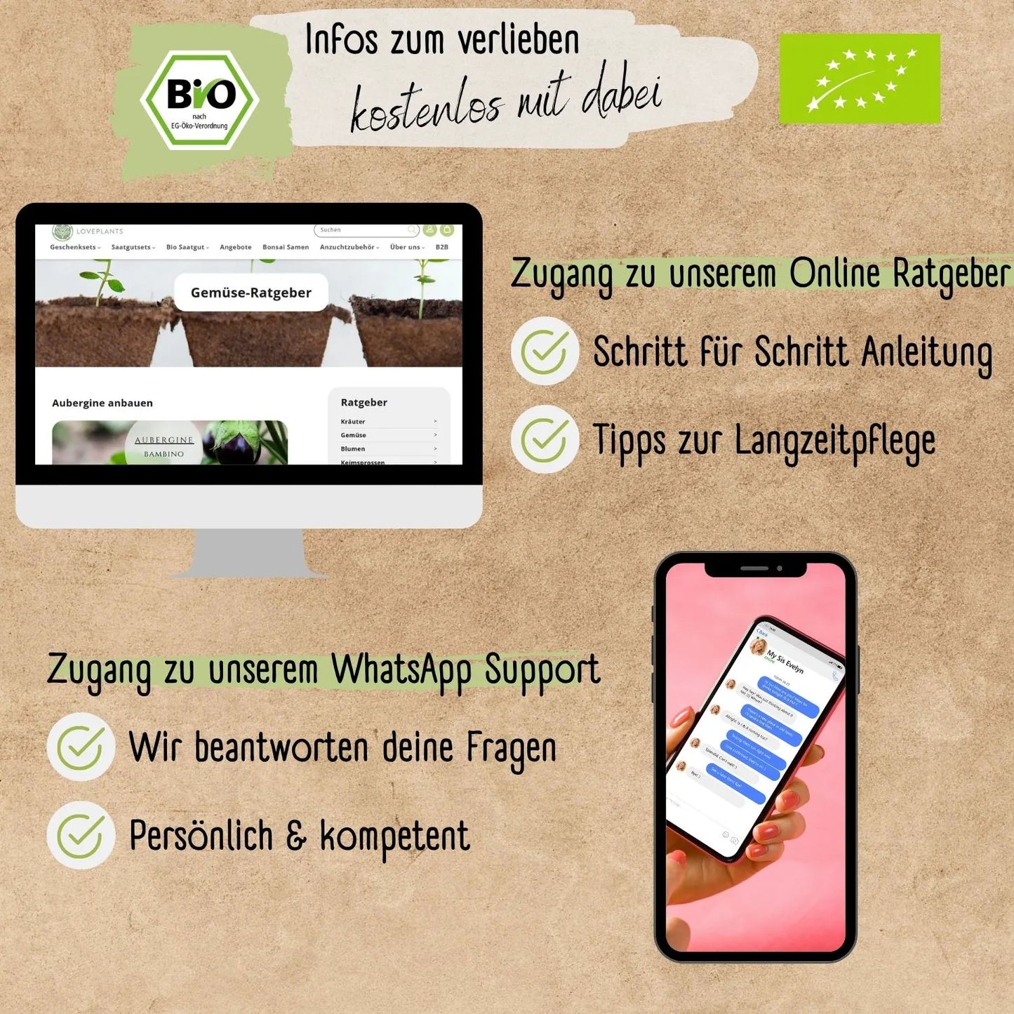 Bio Aubergine Bambino Samen