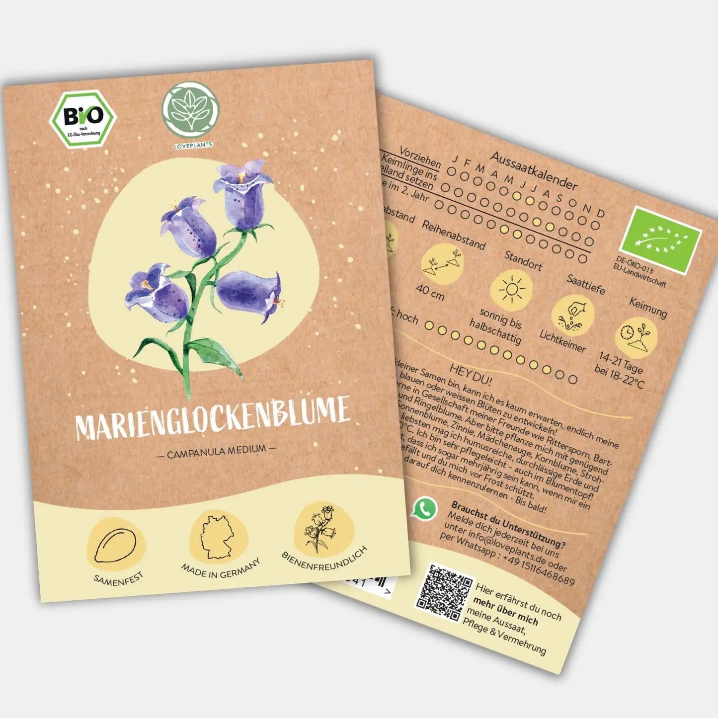 Bio Marienglockenblume Samen