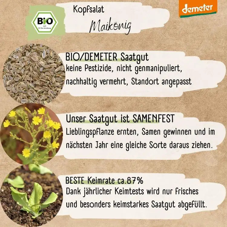 Demeter Kopfsalat Maikönig Samen