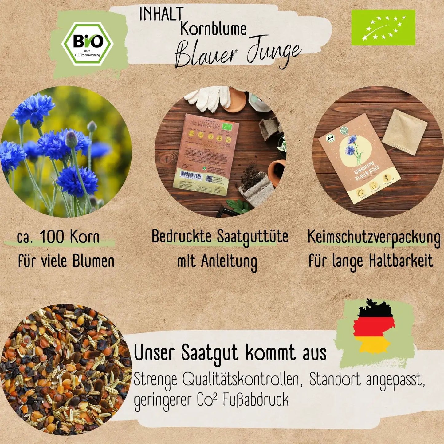 Bio Kornblume Blauer Junge Samen