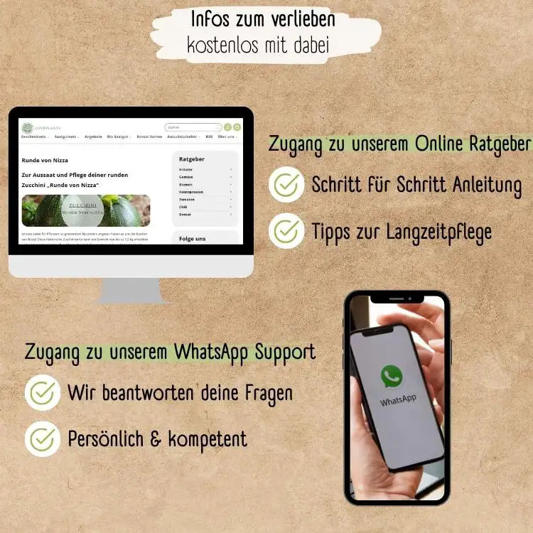 Demeter Zucchini Runde von Nizza Samen