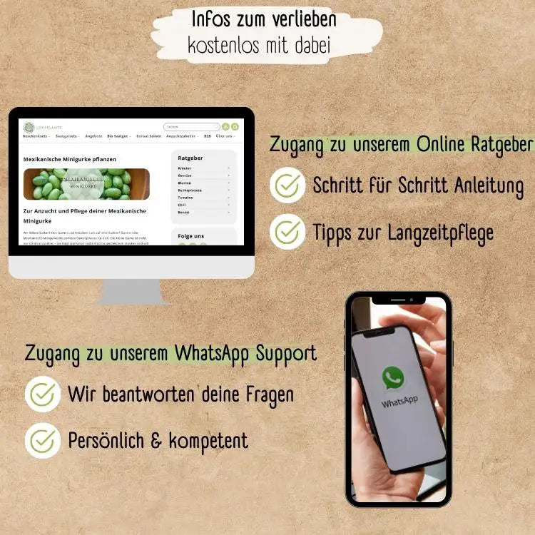Demeter Mexikanische Minigurken Samen