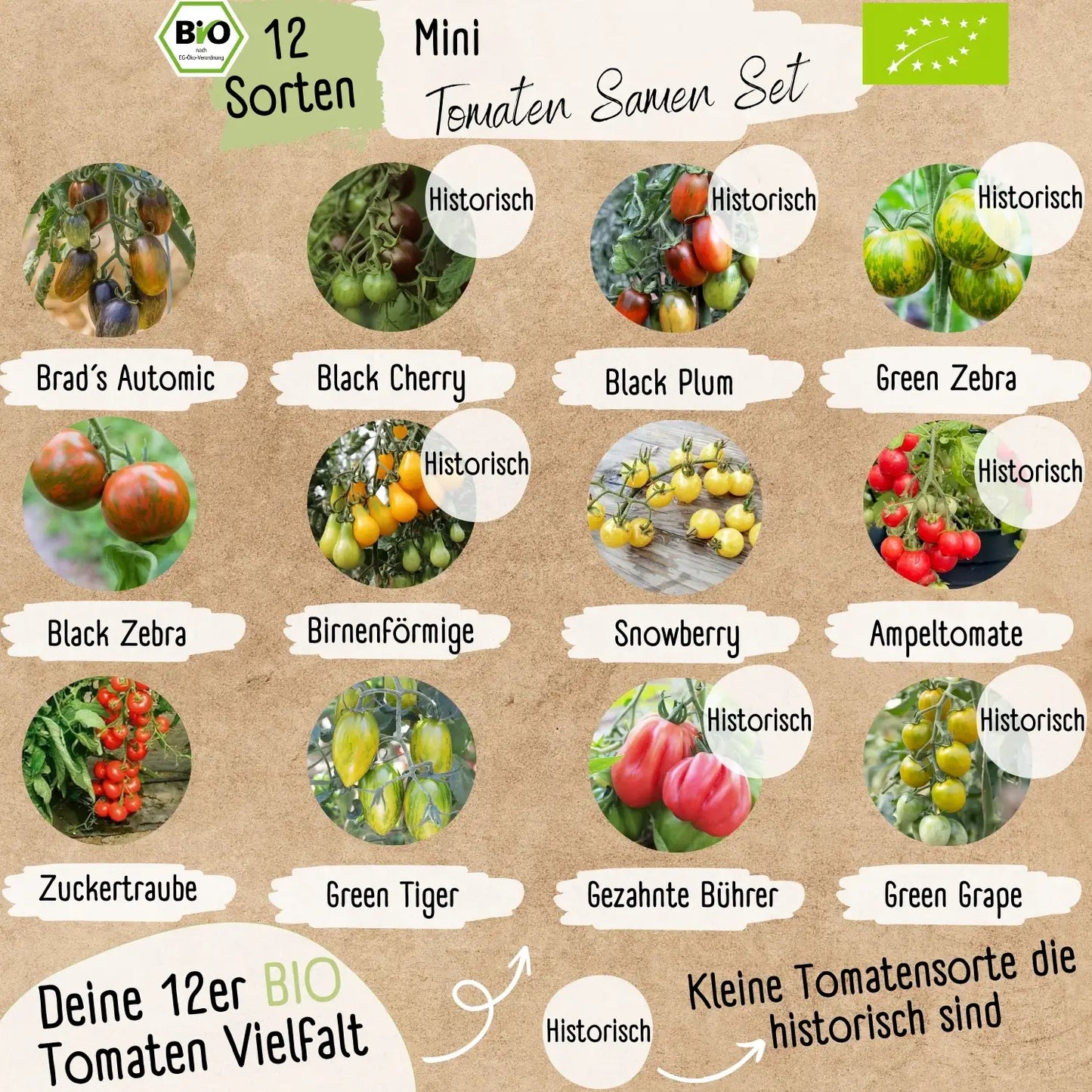 Tomaten Starter Set