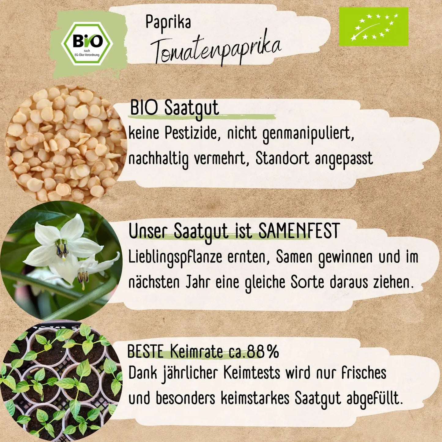 Bio Tomatenpaprika Samen
