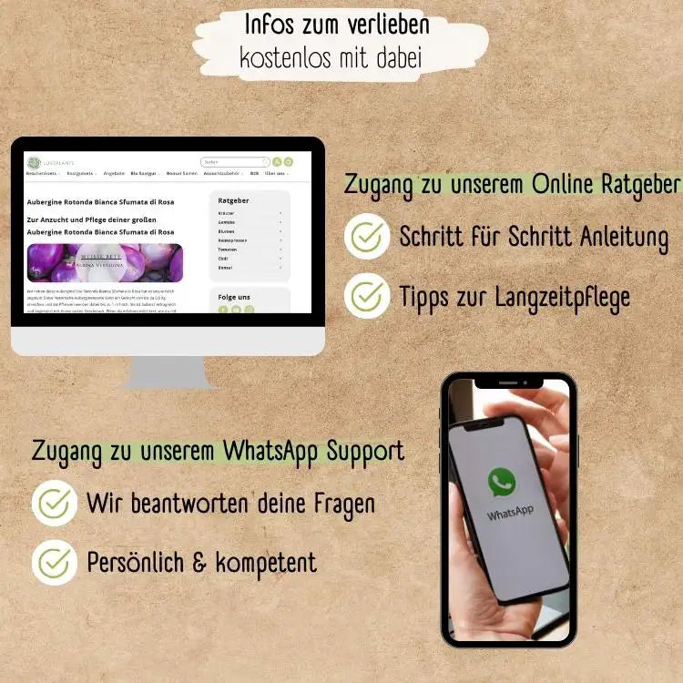 Demeter Aubergine Rotonda di Rosa Samen