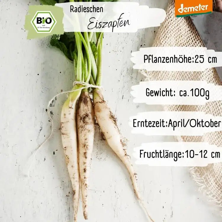 Demeter Radischen Eiszapfen Samen