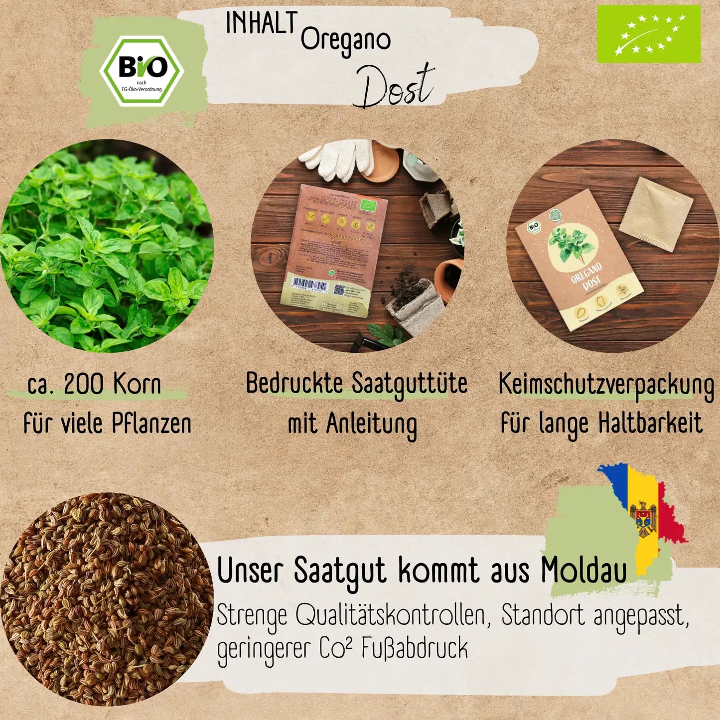 Bio Oregano Samen
