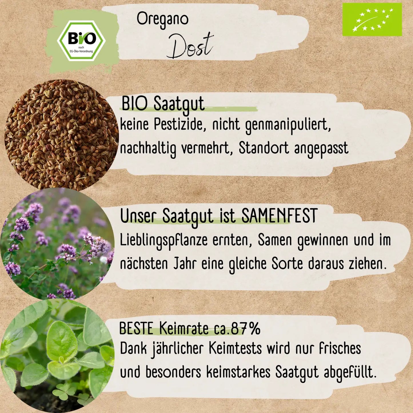 Bio Oregano Samen