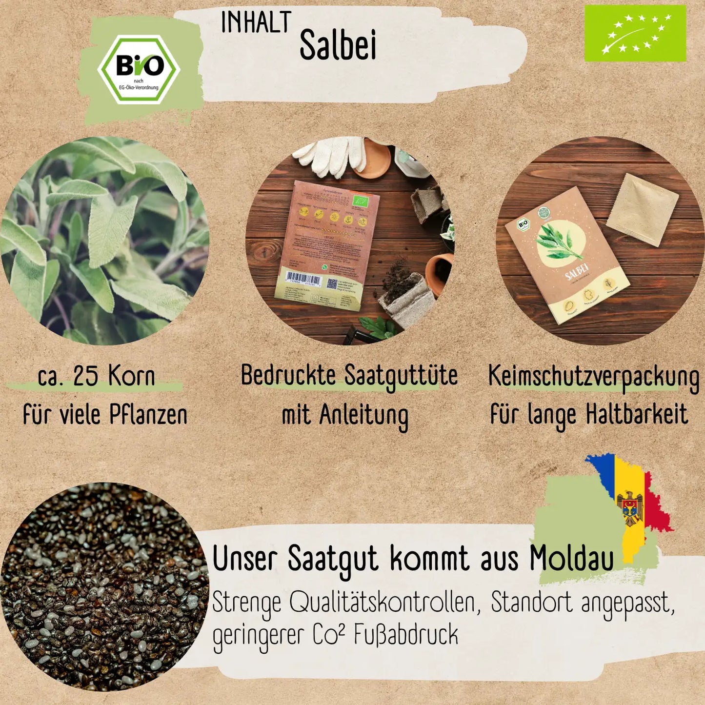Bio Salbei Samen
