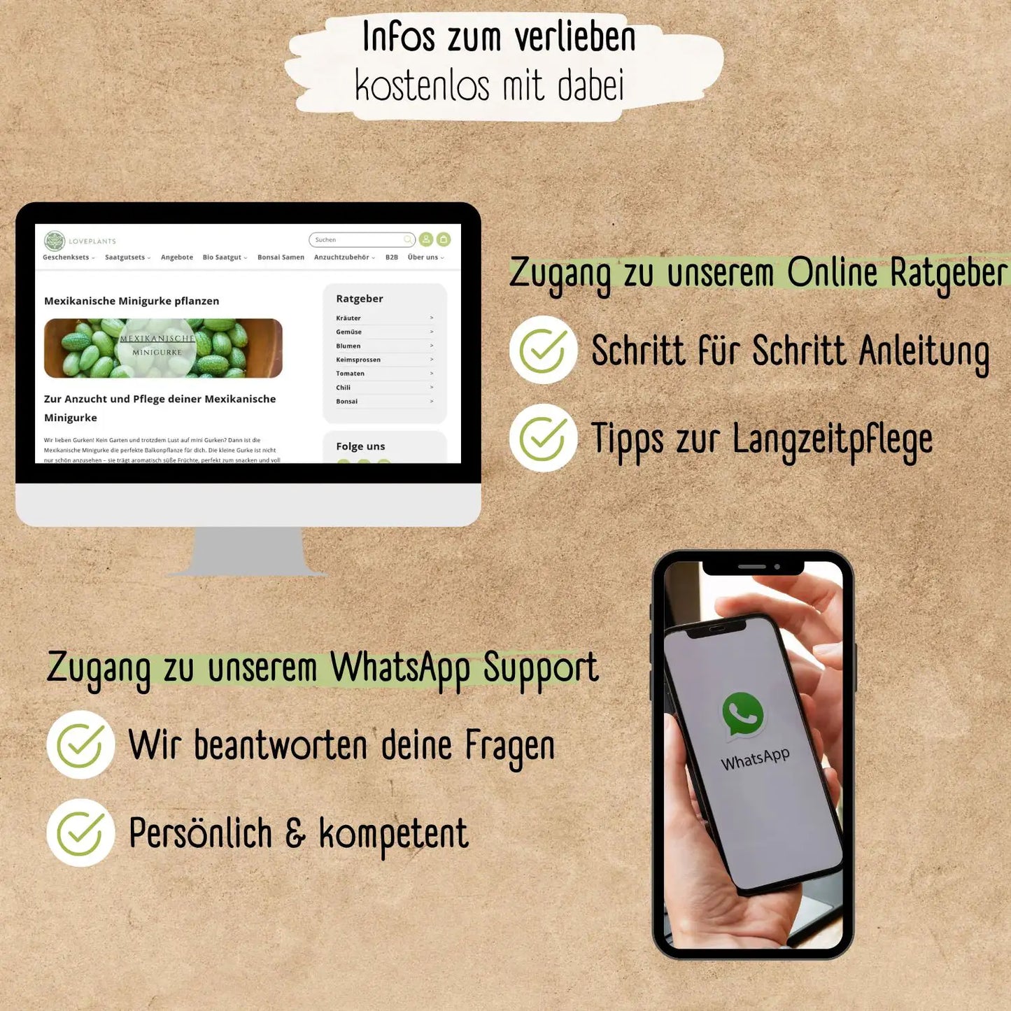 Bio Mexikanische Minigurke Samen
