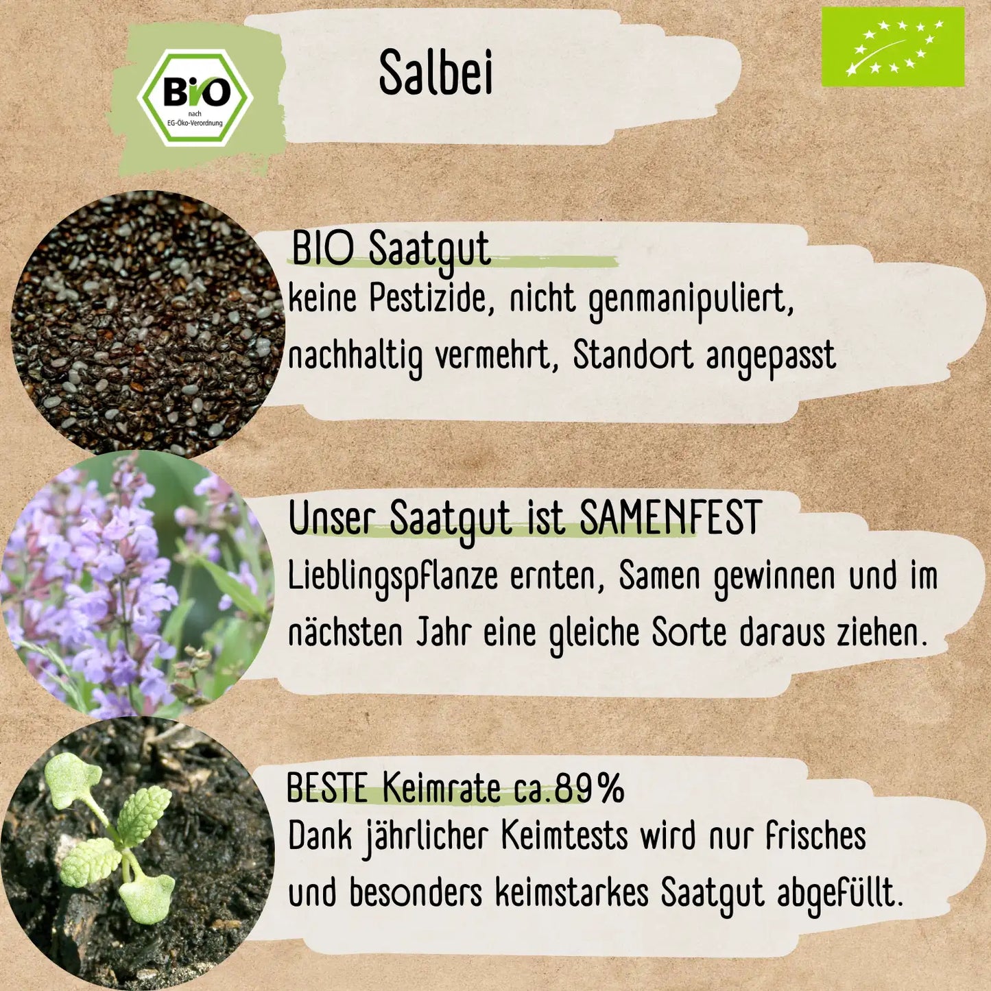 Bio Salbei Samen