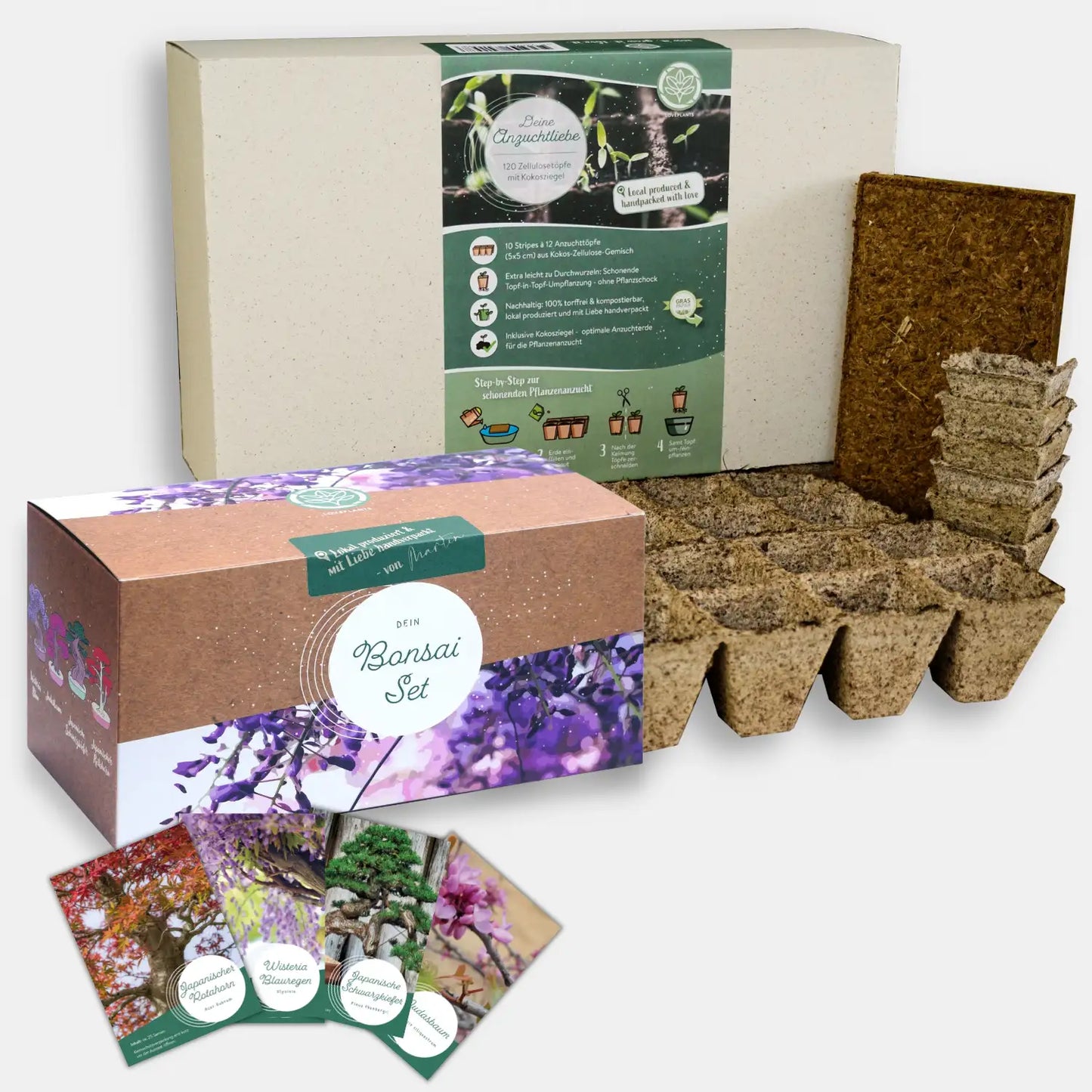 Bonsai Garten Starter Set