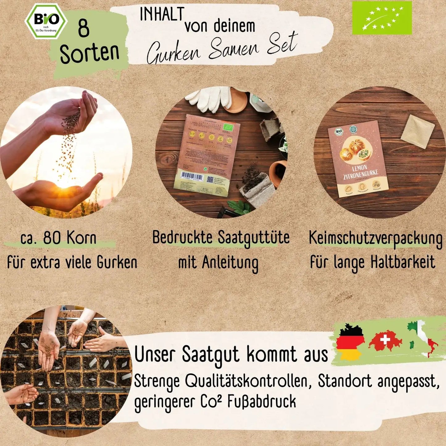 Gurken Starter Set