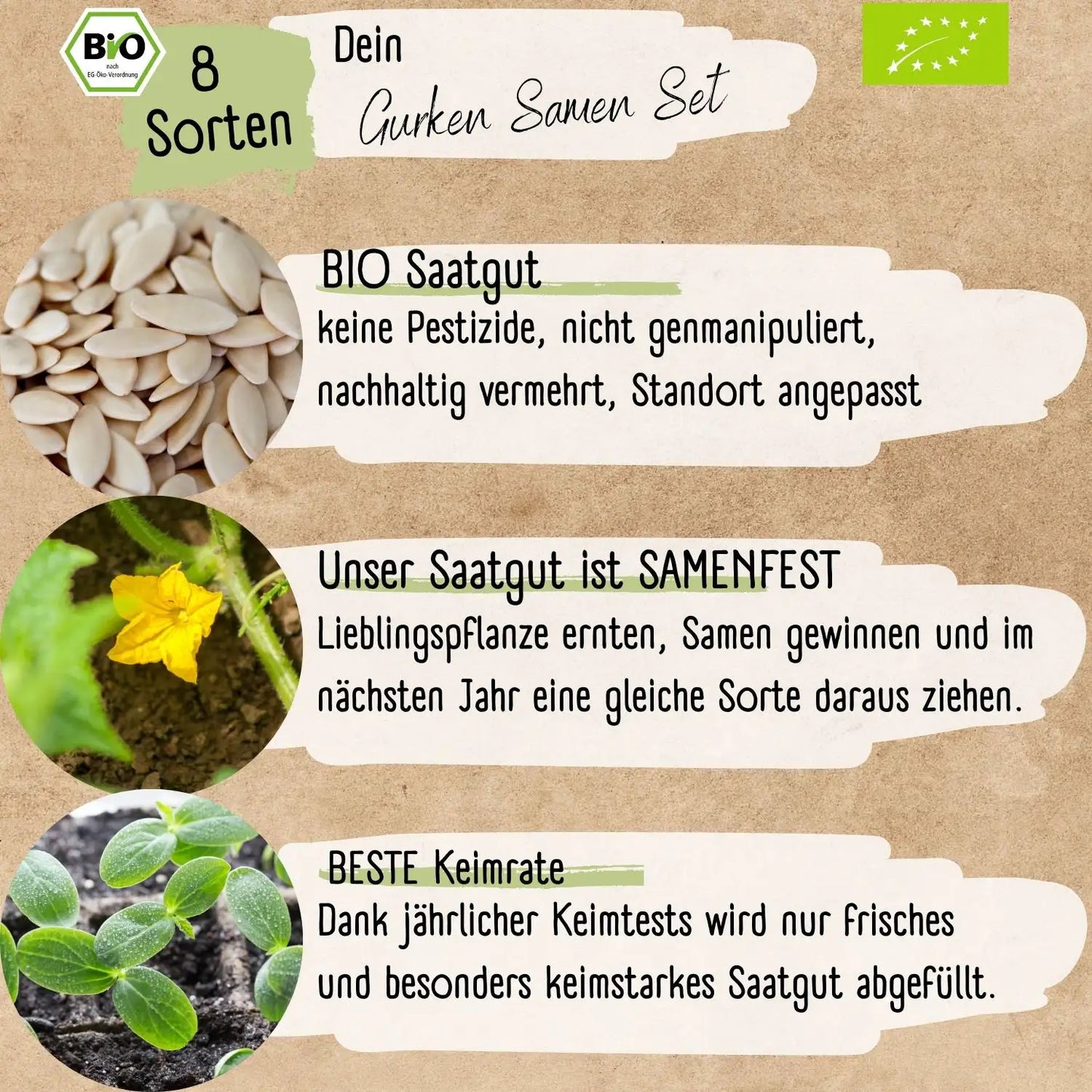 Gurken Starter Set