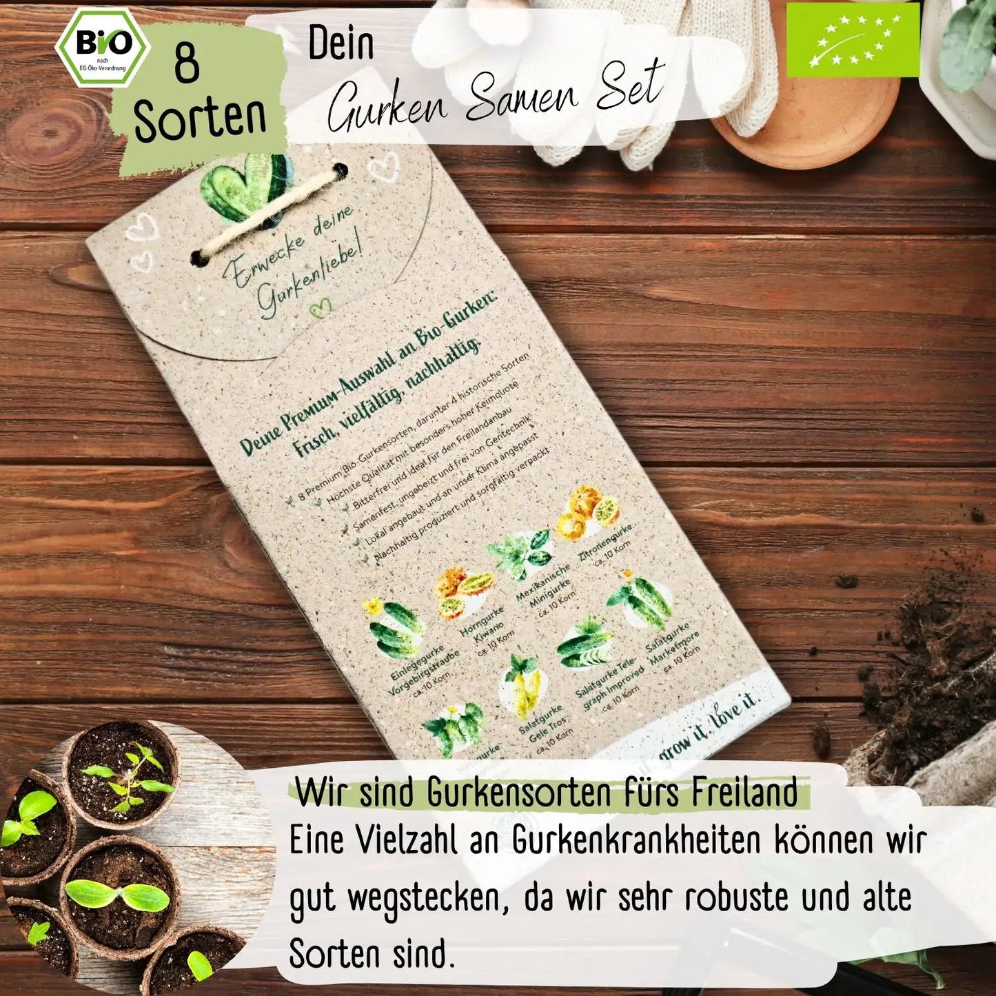 Dein 8 Gurkensamen Set