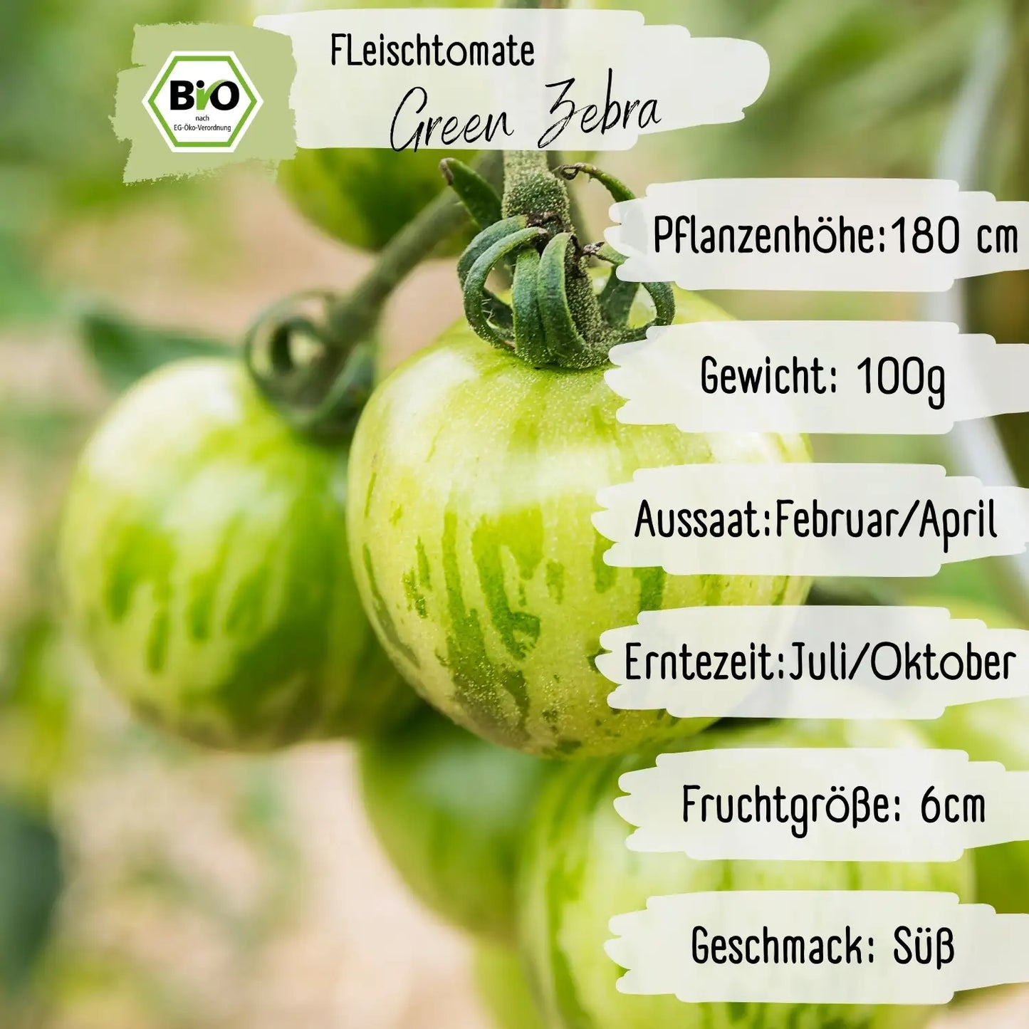 Bio Fleischtomate Green Zebra Samen