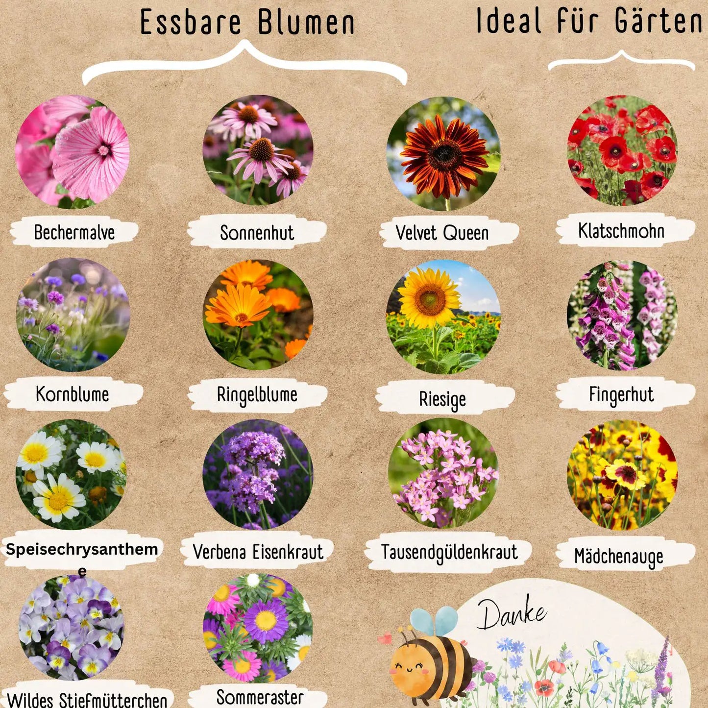 Blumenwunder Samen Sets