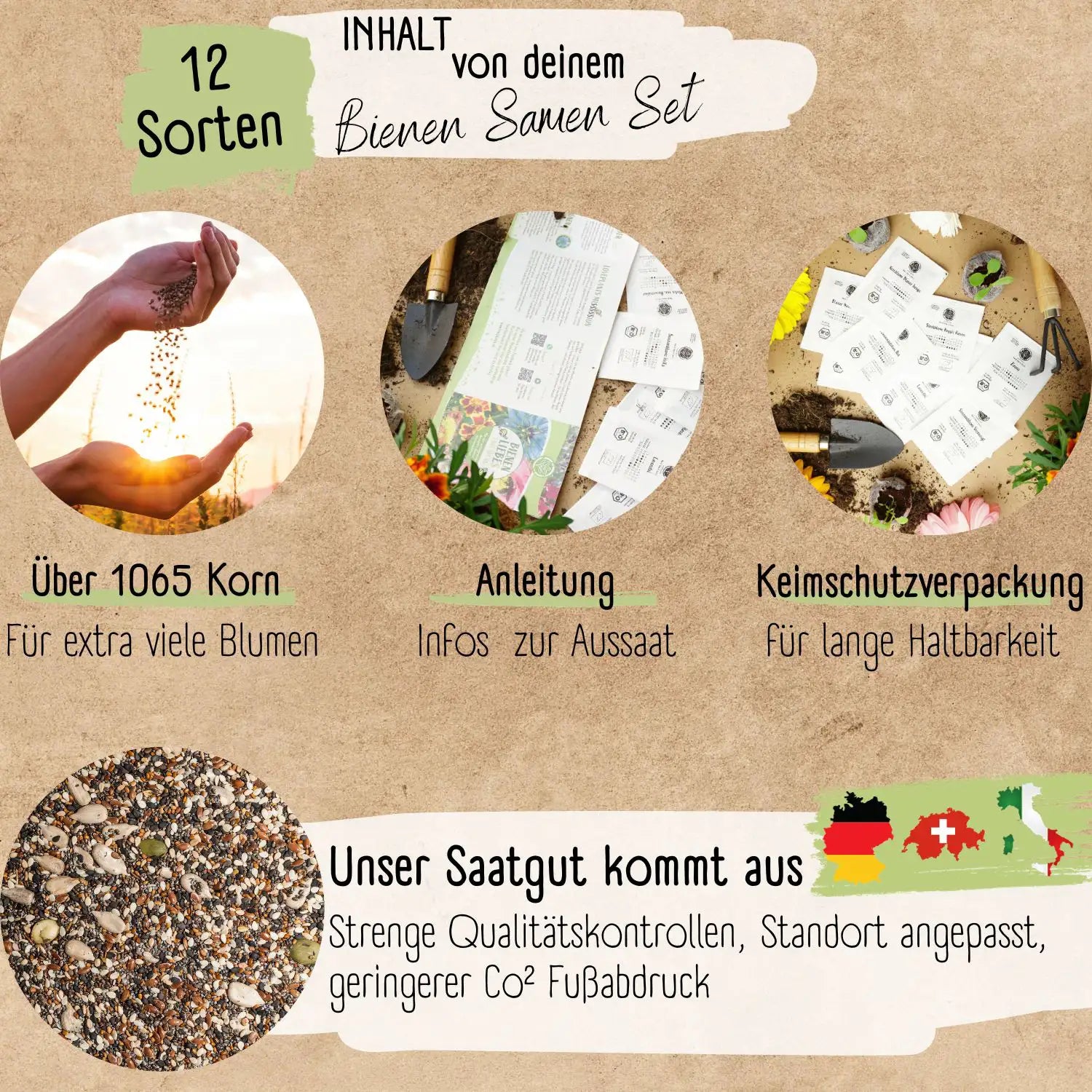 Bio Bienen Blumensamen Set sehr anfaengerfreundlich