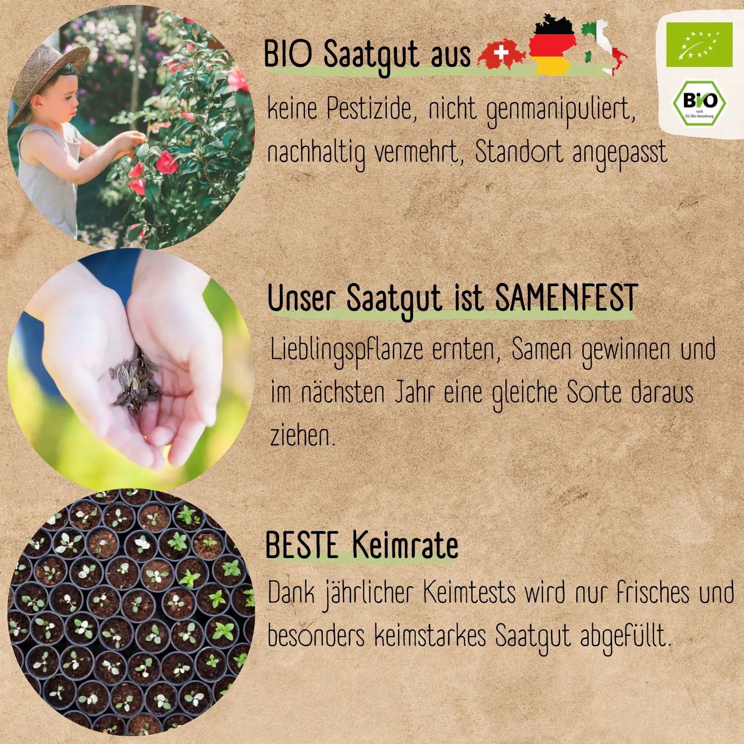 Bio Blumensamen Set die Eigenschaften