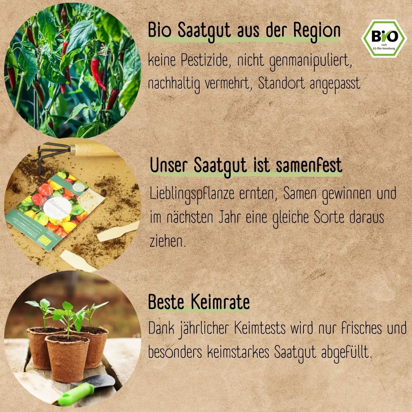 Bio Chili Anzucht Set mit viel Bio Chili Saat