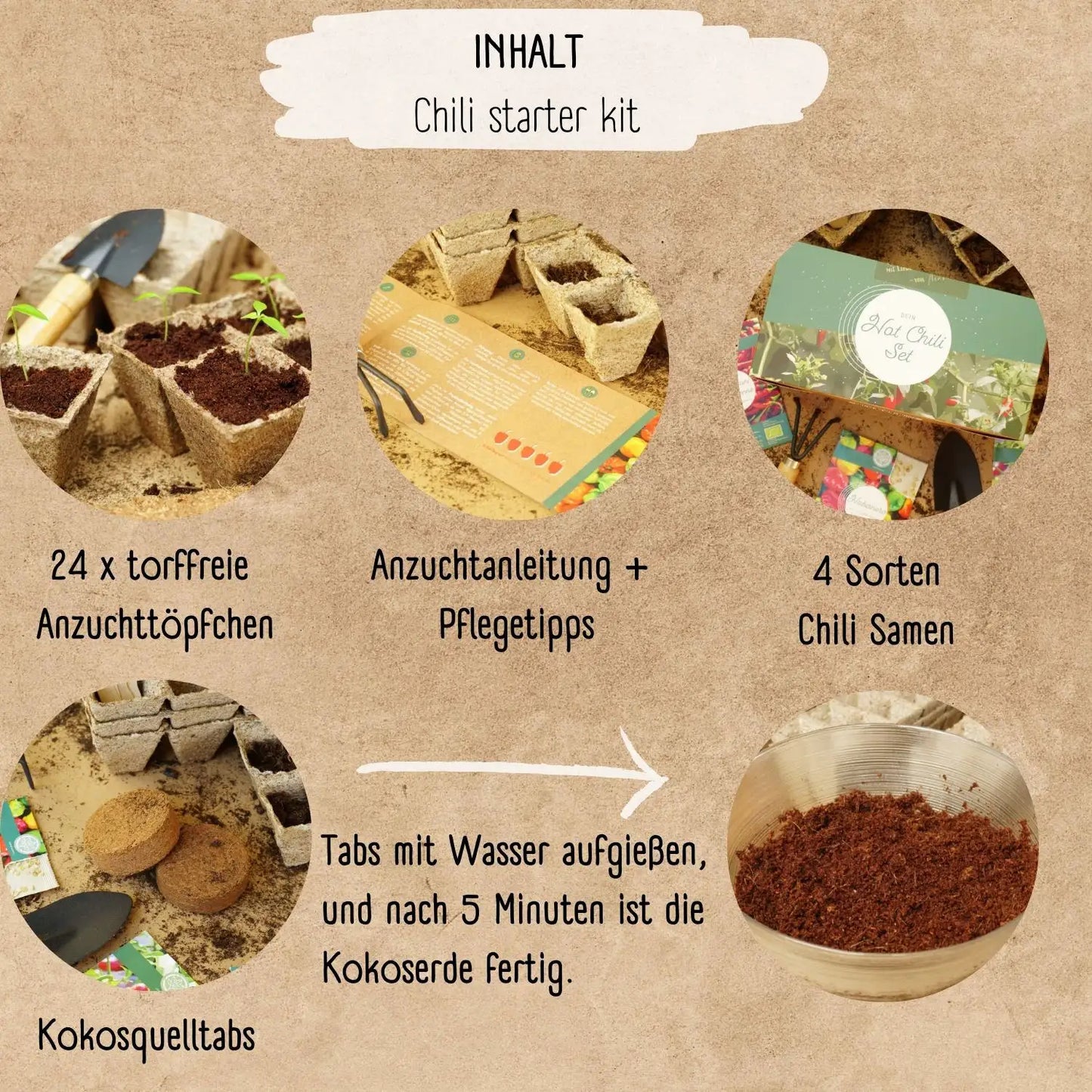 Bio Chili Anzucht Set