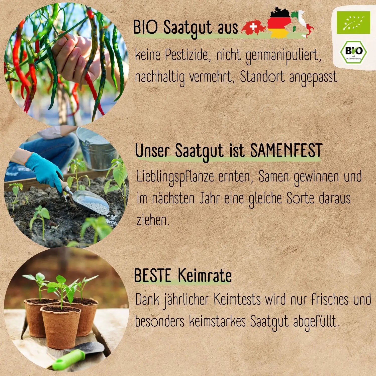 Bio Chili Samen Set mit viel Bio Chili Saatgut