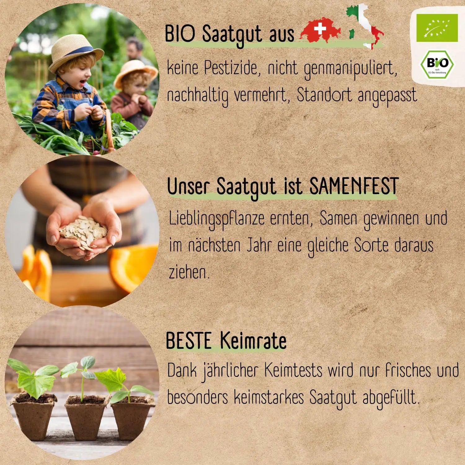 Bio Gemuese Samen Set fuer Anfaenger