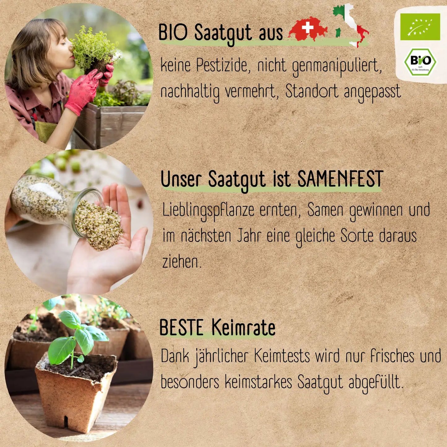 Bio Kraeuter samen Set mit viel Kraeuter Saatgut