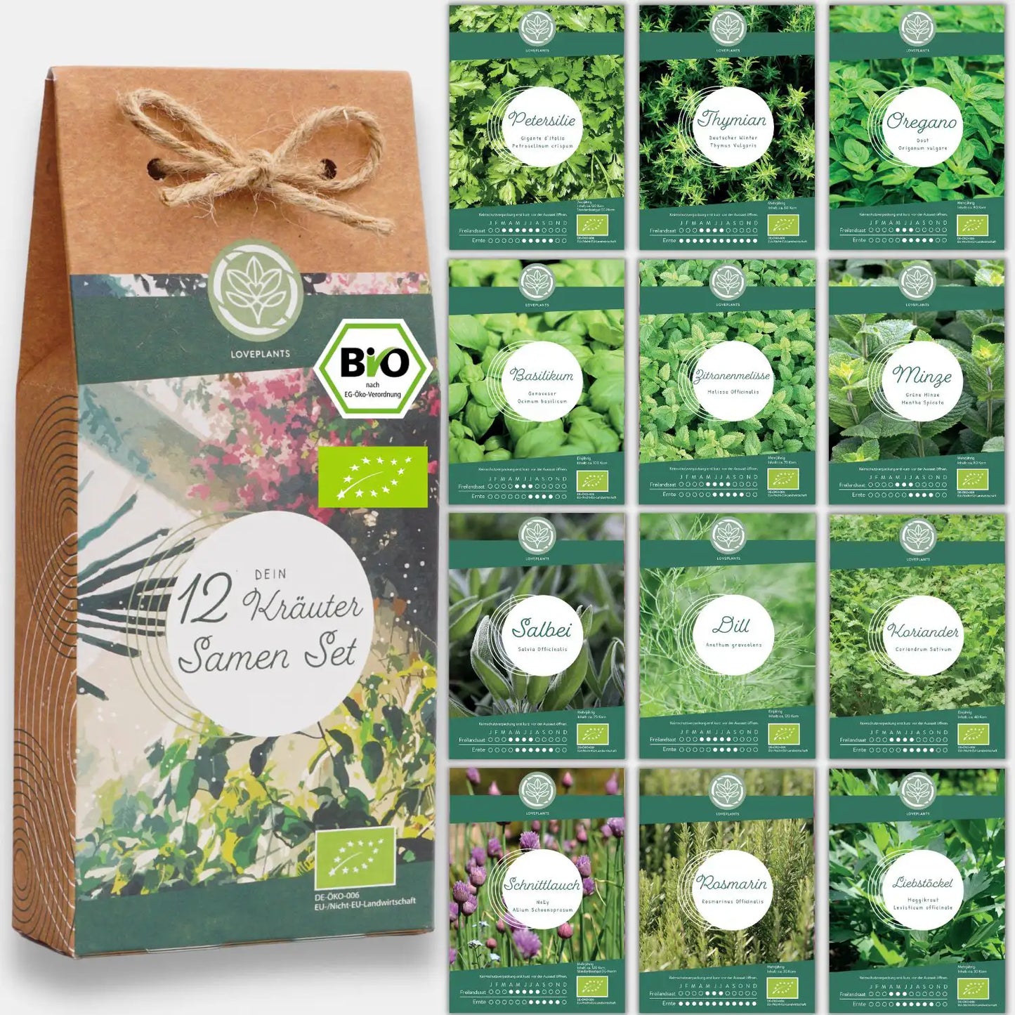 Dein 12 Bio Kräutersamen Set