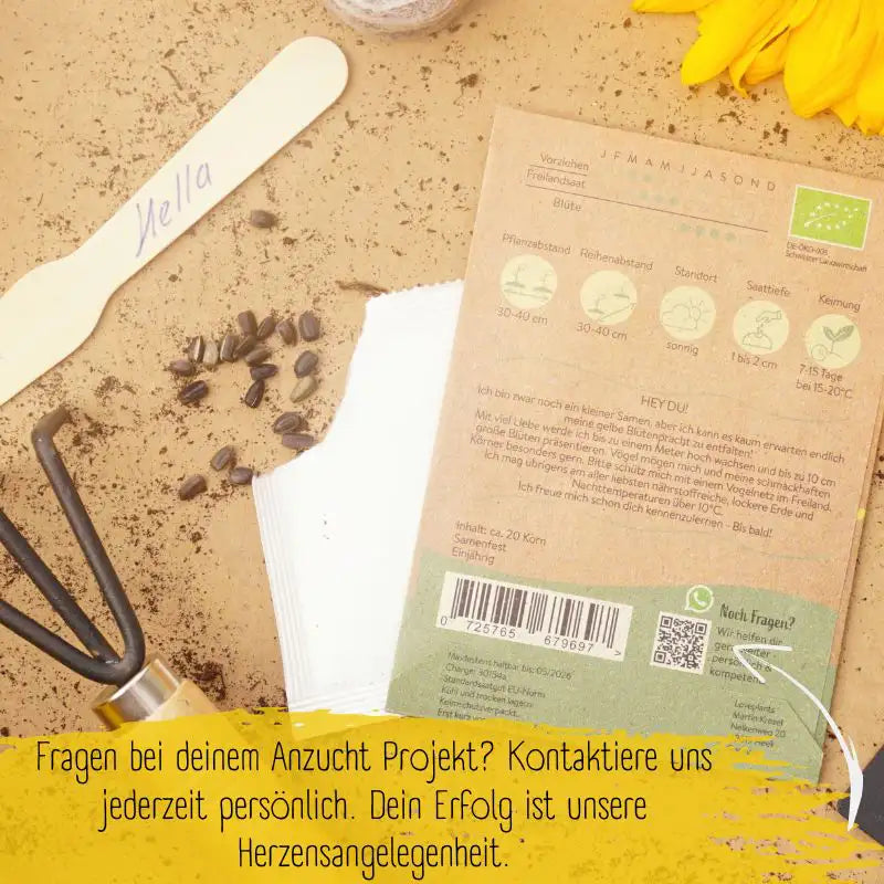 Bio Sonnenblume Hella Samen mit persönlichen Kontakt